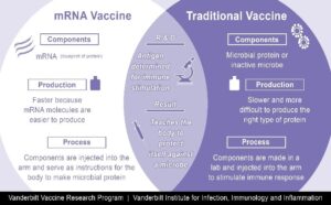 mRNA vaccines